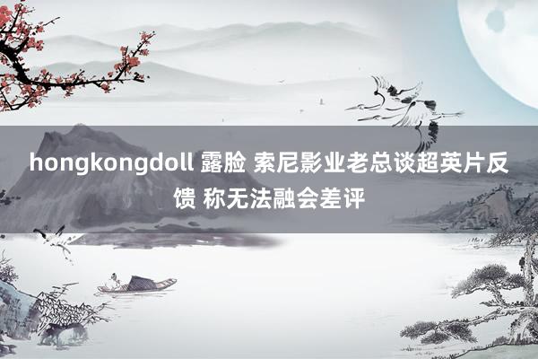 hongkongdoll 露脸 索尼影业老总谈超英片反馈 称无法融会差评