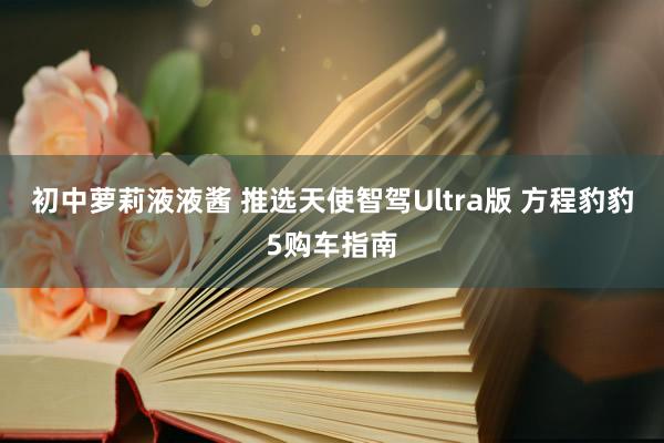 初中萝莉液液酱 推选天使智驾Ultra版 方程豹豹5购车指南