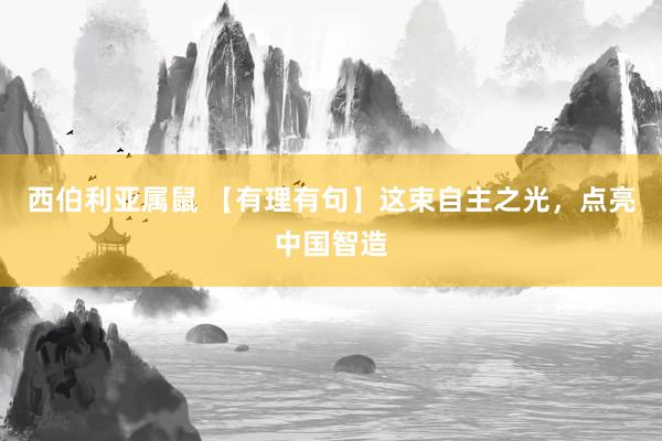 西伯利亚属鼠 【有理有句】这束自主之光，点亮中国智造