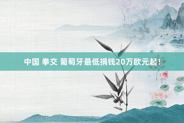 中国 拳交 葡萄牙最低捐钱20万欧元起！