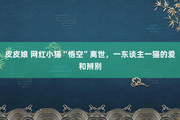 皮皮娘 网红小猫“悟空”离世，一东谈主一猫的爱和辨别