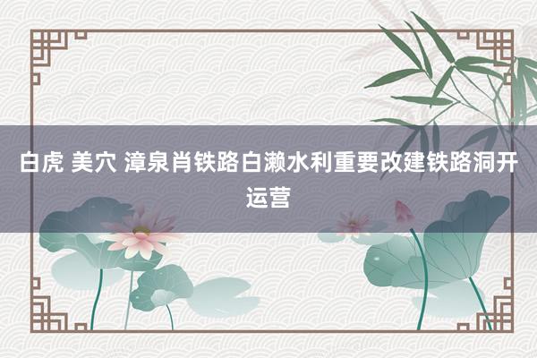 白虎 美穴 漳泉肖铁路白濑水利重要改建铁路洞开运营