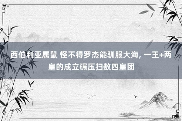 西伯利亚属鼠 怪不得罗杰能驯服大海, 一王+两皇的成立碾压扫数四皇团